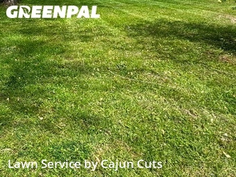 Lawn Mow nearby Walterhill, TN, 