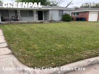 Grass Cut nearby Fort Worth, TX, 