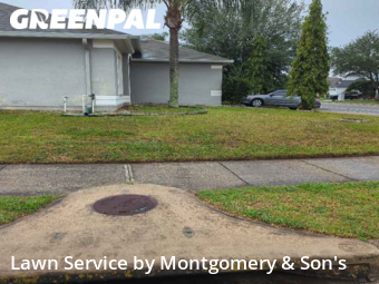 Lawn Cutting nearby Lakeland, FL, 