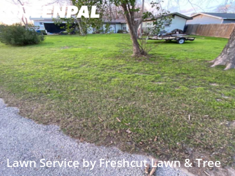 Grass Cut nearby New Braunfels, TX, 
