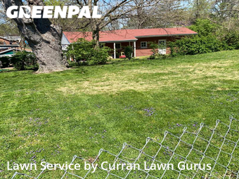 Lawn Maintenance nearby St. Louis, IL, 