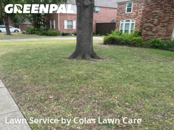 Lawn Cut nearby Richardson, TX, 