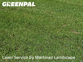 Yard Care Services in Lady Lake, 32159, Lawn Upkeep by Martinez Landscape, work completed in Dec , 2025