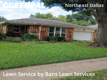 Lawn Cut nearby Dallas, TX, 