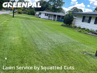 Lawn Care nearby Lafayette, LA, 