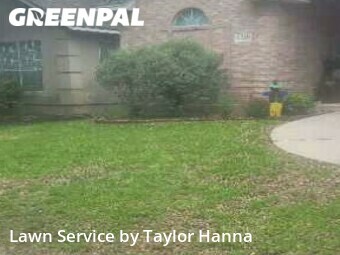 Yard Cutting nearby San Antonio, TX, 