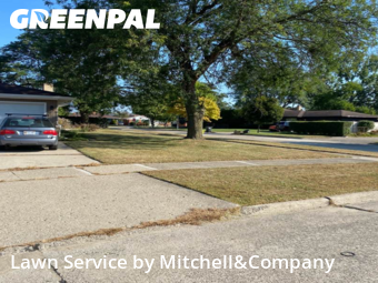 Lawn Care in Westland, 48185, Lawn Services by Mitchell&Company, work completed in Nov , 2025