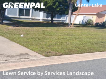 Lawn Cut nearby Buenaventura Lakes, FL, 