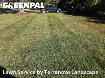 Lawn Cutting in Bristol, 60512, Weed Trimming by Terranova Landscape, work completed in Nov , 2025