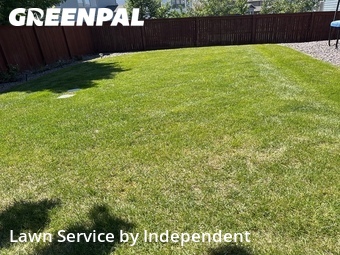 Yard Mowing nearby Windsor, CO, 