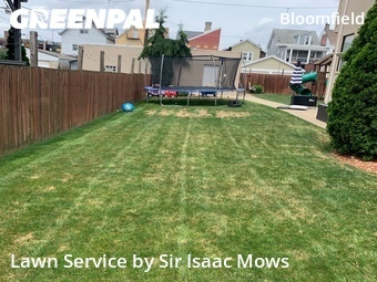 Yard Cutting nearby Pittsburgh, PA, 
