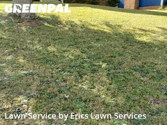 Grass Cut nearby Charlotte, NC, 