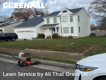 Grass Cut nearby Hampton, VA, 
