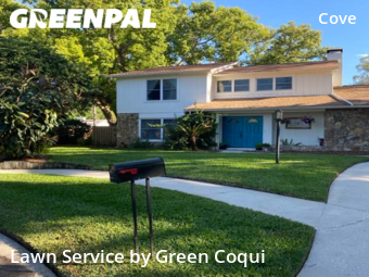 Yard Mowing nearby Tampa, FL, 