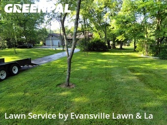 Yard Cutting nearby Chandler, IN, 