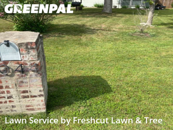 Lawn Cut nearby New Braunfels, TX, 