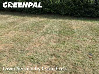 Grass Cut nearby Monroeville, PA, 