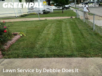 Lawn Upkeep in Norfolk, 23503, Yard Cutting by Debbie Does It, work completed in Nov , 2025