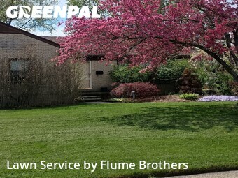 Lawn Cutting nearby Roseville, MI, 