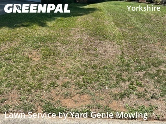 Yard Mowing nearby Charlotte, NC, 