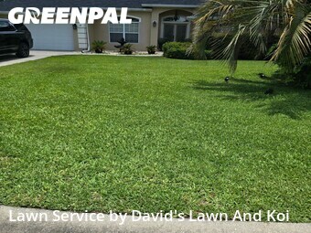 Grass Cut nearby Ocala, FL, 