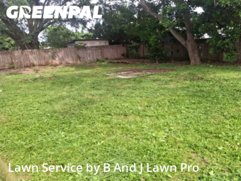 Lawn Care Service nearby Tampa, FL, 