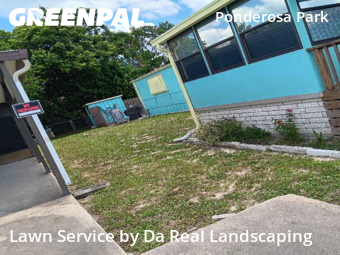 Grass Cutting nearby Hudson, FL, 