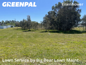 Grass Cutting nearby Fort Myers, FL, 
