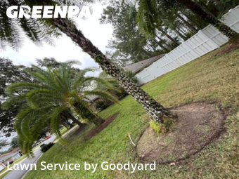 Modern Landscaping In Jacksonville,32259,Landscaping Maintenance by Goodyard , work completed in Oct , 2025