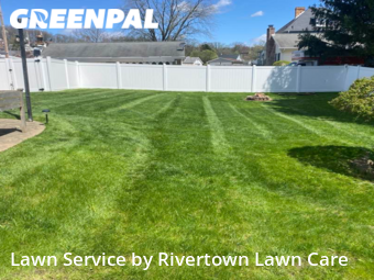 Grass Cut nearby Aliquippa, PA, 