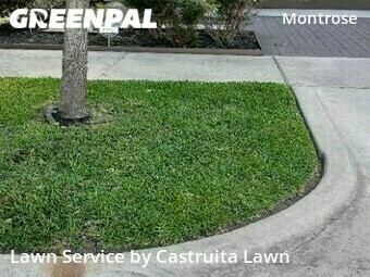 Lawn Service nearby Houston, TX, 