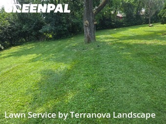 Yard Mowing nearby Burr Ridge, IL, 