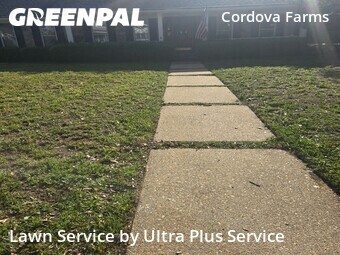 Yard Cutting nearby Pensacola, FL, 