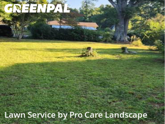 Grass Cuttingin Matthews,28105,Lawn Care by Pro Care Landscape , work completed in Oct , 2025
