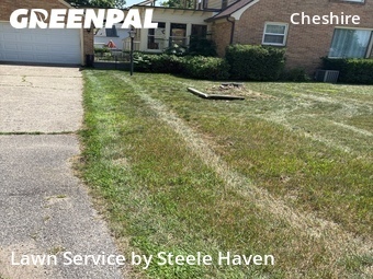 Yard Mowing nearby Grand Rapids, MI, 
