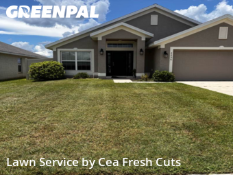 Grass Cut nearby Ocala, FL, 