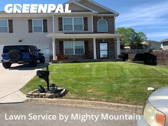 Lawn mowed in Knoxville, 37920