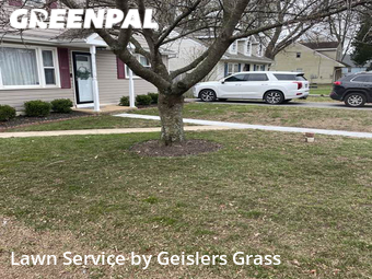 Lawn Care Service nearby Pasadena, MD, 