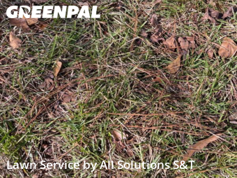 Lawn Mowing nearby Poinciana, FL, 