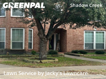 Lawn Mow nearby Pearland, TX, 