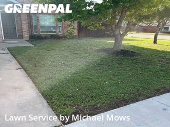 Lawn Cutin Keller,76248,Yard Mowing by Michael Mows, work completed in Jun , 2026