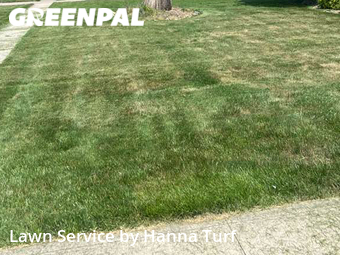 Lawn Mowing nearby Lorain, OH, 