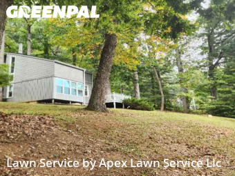 Lawn Work in Johnson City, 37601, Yard Care by Apex Lawn Service Llc, work completed in Dec , 2025