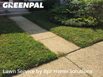 Grass Cut nearby Centreville, VA, 