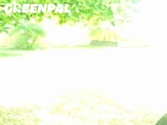 Yard Mowing nearby Burbank, CA, 