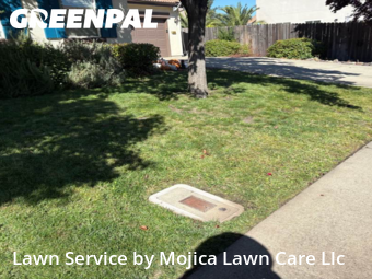 Work completed by lawn-maintenance-in-Rocklin-CA