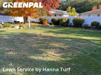 Lawn Cutting nearby Lorain, OH, 