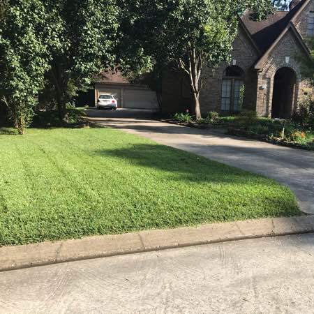 Order Lawn Care in Montgomery, TX, 77356