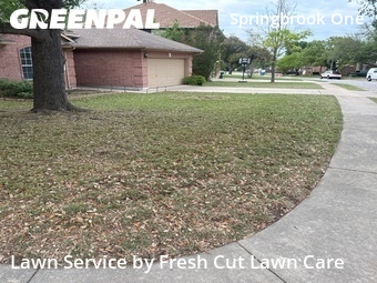 Grass Cut nearby Pflugerville, TX, 