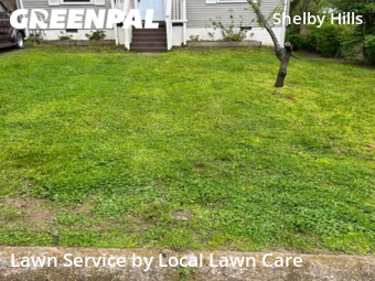 Lawn Maintenance nearby Nashville, TN, 